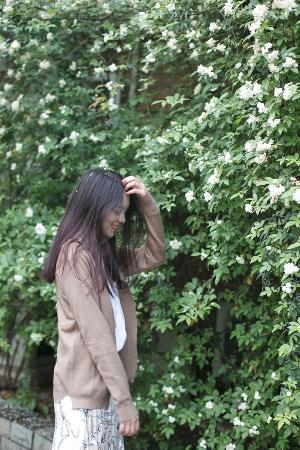 免费观看电视在线高清第一集